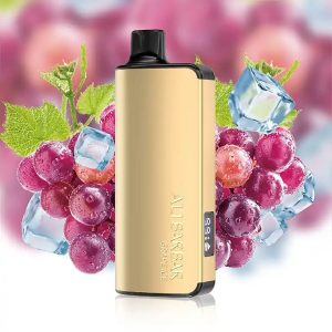 Alibarbar Ingot 9000 Grape Ice